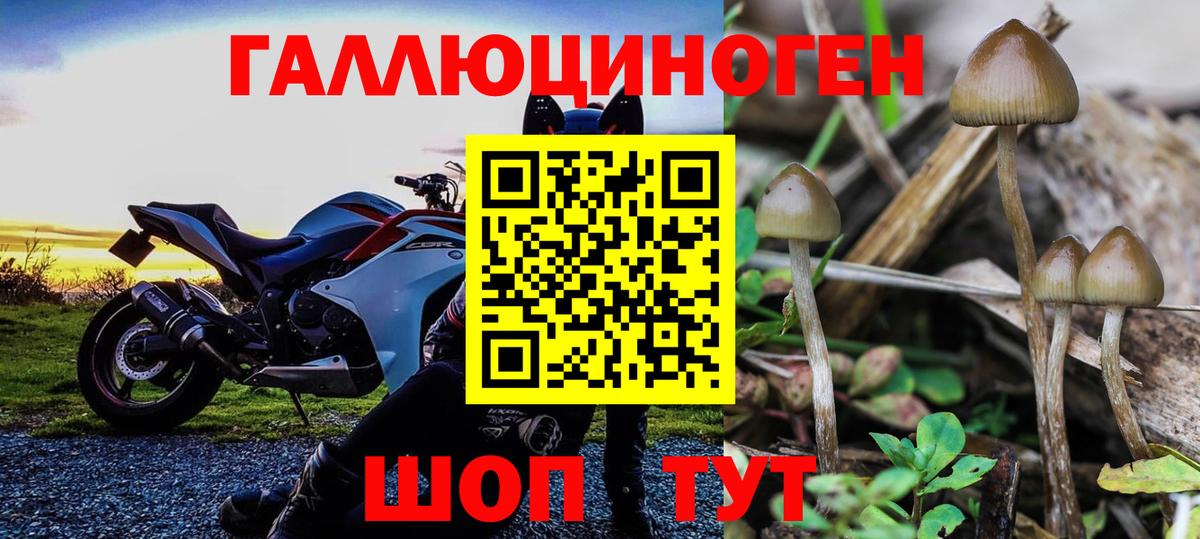 цены наркотик  Вход с VPN  Нягань  Псилоцибиновые грибы Psilocybine cubensis 
